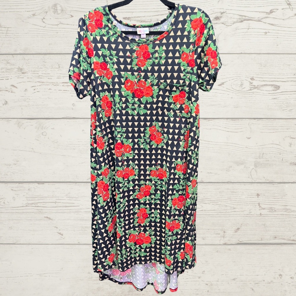 Carly Rose Bushes Flowers Triangle Black/Red/Green Flare Dress Meduim